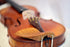 Gliga Genova Advanced Violin Outift