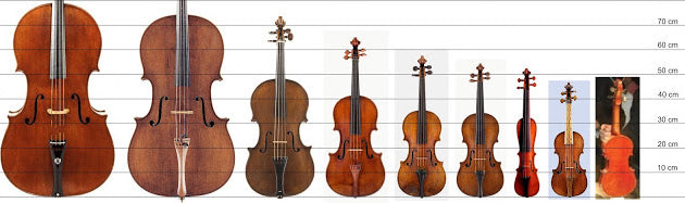 What's the Difference between a Violin and Viola?