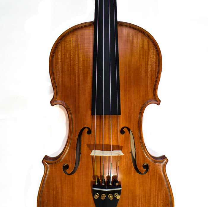 Gliga Gama Violin Outfit