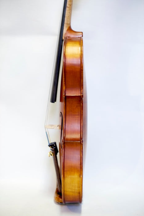Gliga Genova Advanced Violin Outfit